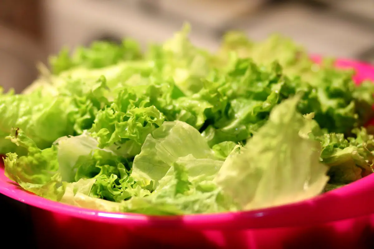 egg and lettuce wraps